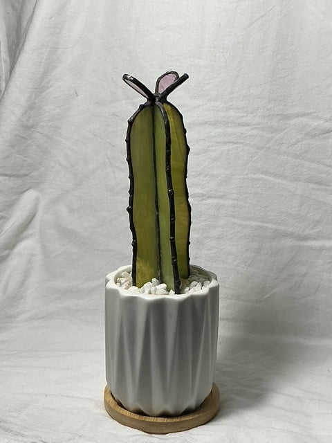 The Forever Cactus - Light, Three Petals